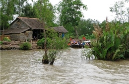 Quản lý, giảm nhẹ rủi ro thiên tai tiểu vùng sông Mê Kông 